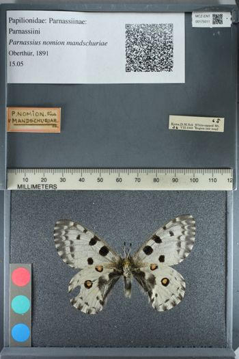 Media type: image;   Entomology 175011